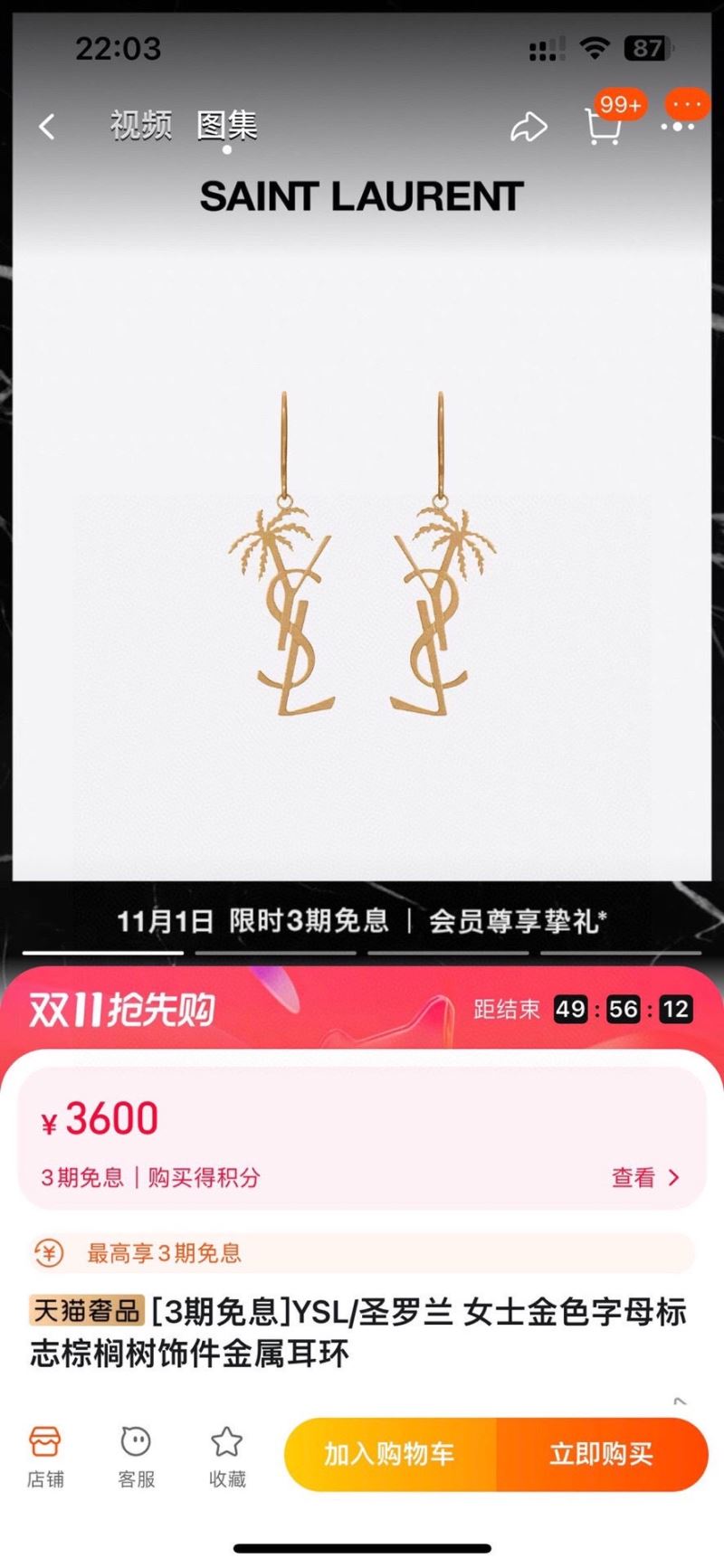 Ysl Earrings